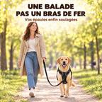 Une balade, pas un bras de fer : femme en promenade avec son labrador, laisse détendue