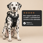 Avis client 5 étoiles : dalmatien portant le harnais anti-traction noir, photo studio